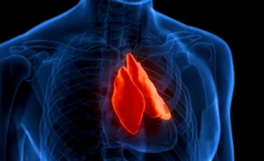 Un organ uitat ar putea prezice cât de mult vei trăi