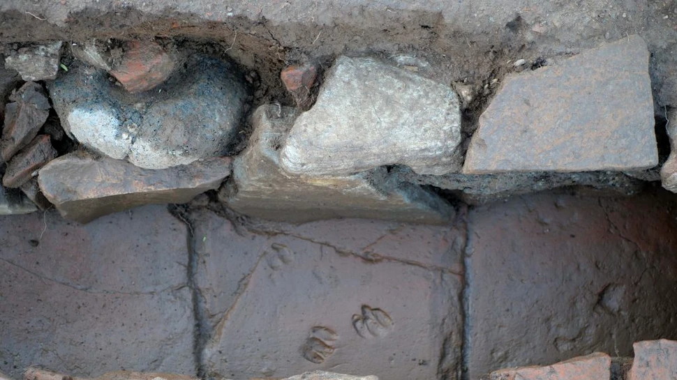 O clădire romană cu amprente neobișnuite a fost descoperită în Corsica