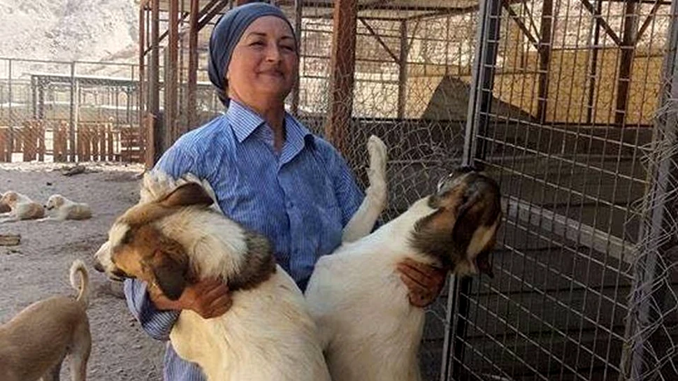 O româncă gestionează primul adăpost pentru câini abandonaţi din Iordania: „Nu e uşor”