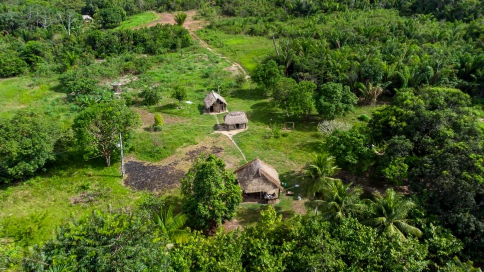 Sute de kilometri de drumuri antice, vechi de 2.700 de ani, au fost descoperite în Amazon