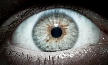 Cum sunt afectaţi ochii de privitul la calculator sau smartphone