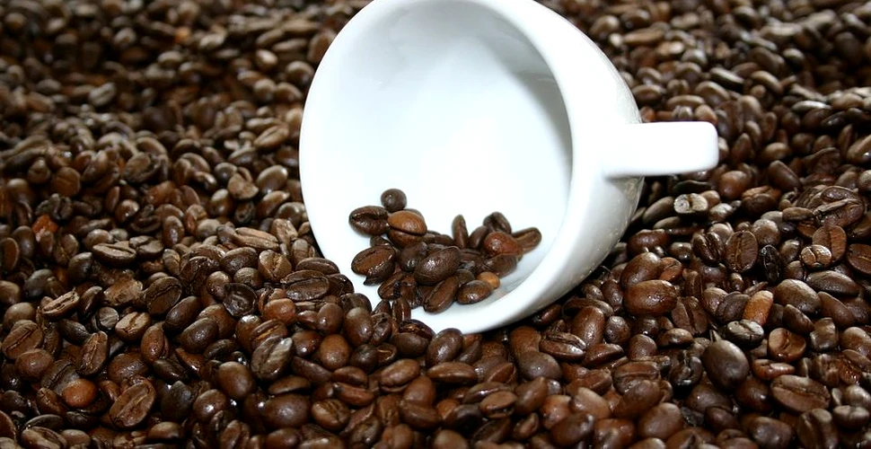 Controale amănunţite a boabelor de cafea după ce s-au descoperit în ele cantităţi mari de erbicide