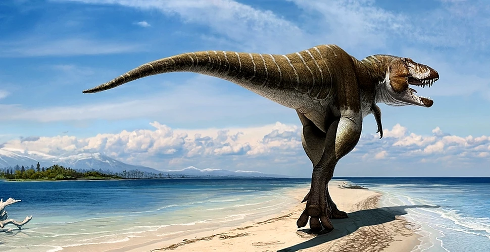 A fost descoperit strămoşul furios al lui Tyrannosaurus rex, dinozaurul numit „regele sângelui vărsat” (FOTO/VIDEO)