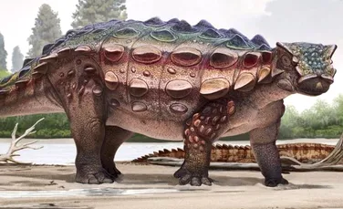 Au fost descoperite rămăşiţele unui dinozaur cu ”armură” ce a trăit pe un continent dispărut