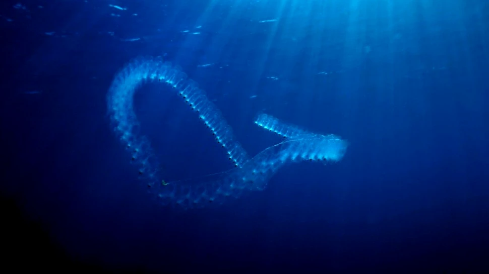 Roboții pentru oceane extraterestre, inspirați din creaturile marine de pe Terra