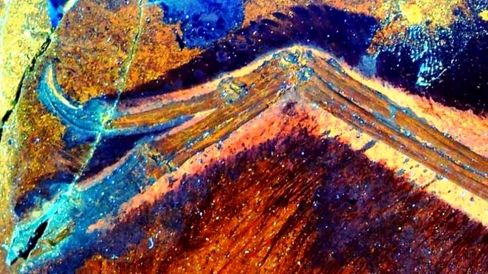 Cum arătau de fapt dinozaurii? Experţii au descoperit detalii despre apariţia primelor păsări