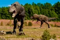 Dinozaurii apelau la canibalism atunci când hrana era insuficientă