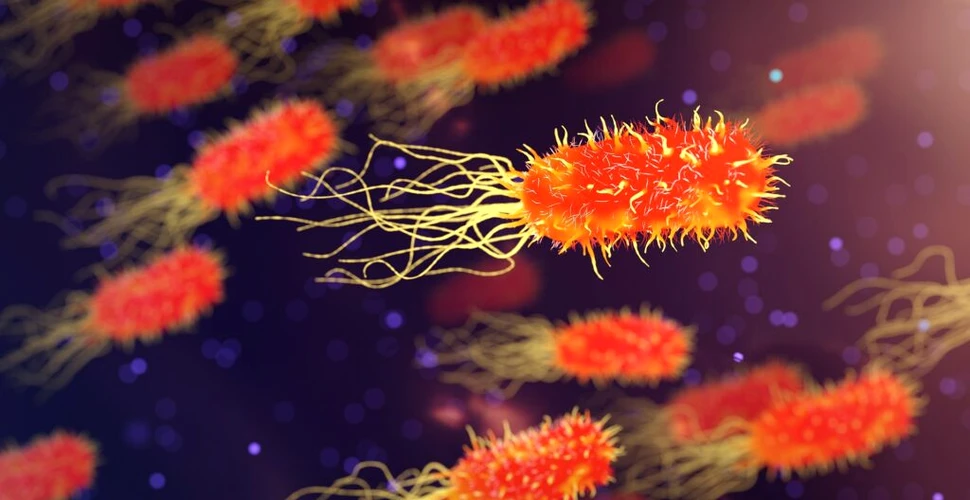Cum se mișcă bacteriile? Cercetătorii și-au dat seama abia după 50 de ani