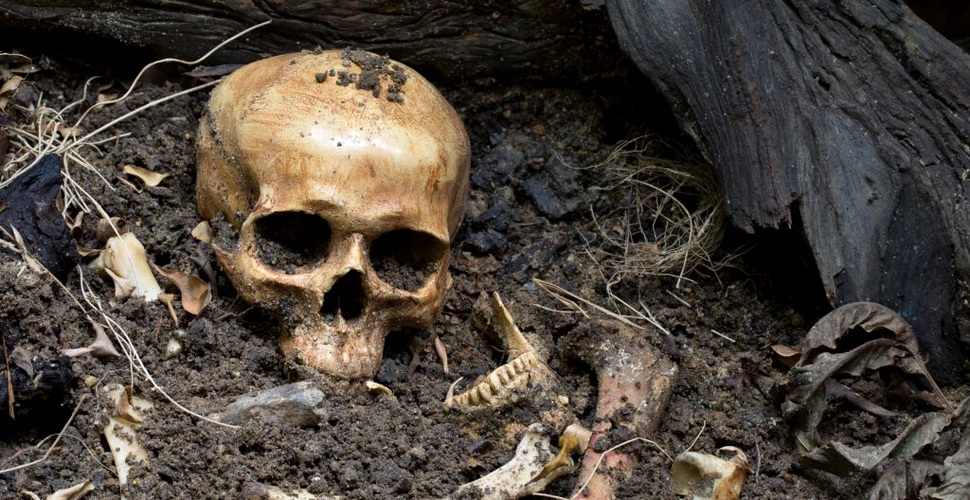 Arheologii au descoperit dovezi ale unor decapitări ritualice într-o piramidă mayașă