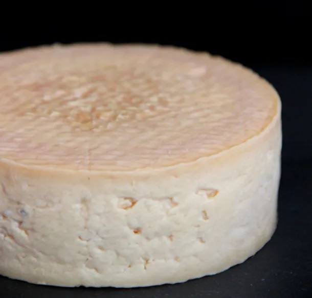 Brânză din bacteriile din gura lui Seana Doughty