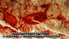Paleoantropologia – o stiinta a eternelor surprize