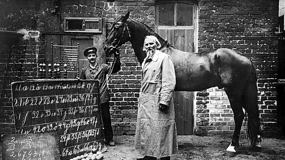 Hans cel Deștept: Povestea calului despre care cercetătorii au crezut că înțelege limba germană și matematica