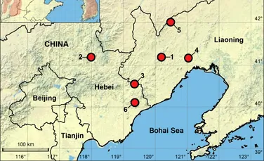 Șase specii de păianjeni ciudați au fost găsite în munții din China