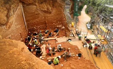Oasele „primului european”, vechi de 1,4 milioane de ani, au fost găsite în Spania