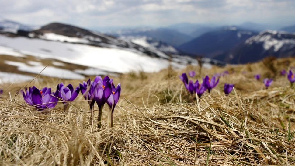 Cum va fi vremea până pe 15 martie. Temperaturi mai ridicate decât cele normale