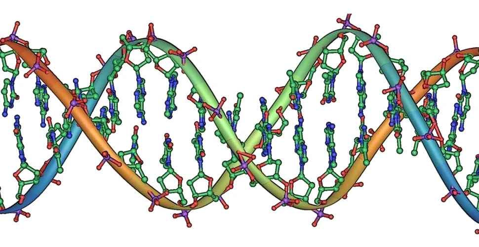 AXN: ADN-ul sintetic care poate evolua