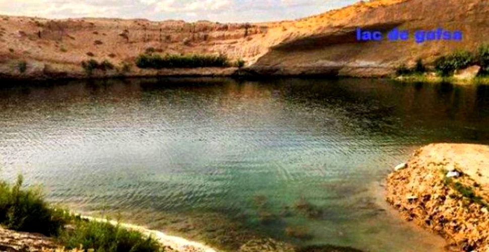 „Unii spun că e un miracol, alţii cred că e un blestem”: un lac a apărut brusc şi inexplicabil în mijlocul deşertului (VIDEO)
