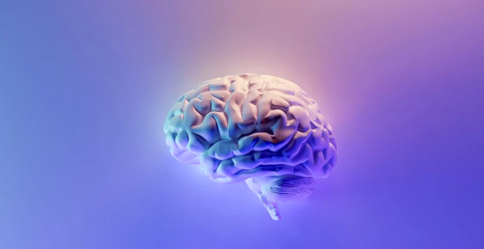 Cum stochează creierul amintirile? Oamenii de știință au descoperit răspunsul