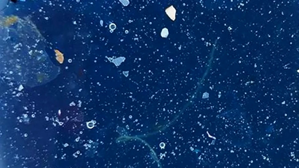 O nouă ”groapă de gunoi”, cu o suprafaţă de 1,5 ori mai mare ca a statului Texas, a fost descoperită în Oceanul Pacific