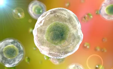 Instrumentul de editare genetică CRISPR face celulele stem ”invizibile” pentru sistemul imunitar