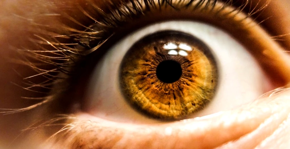 Un experiment arată ce se poate întâmpla dacă strănuți cu ochii deschiși