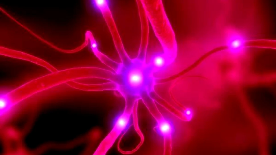 Cum transformi o celula a pielii intr-un neuron functional