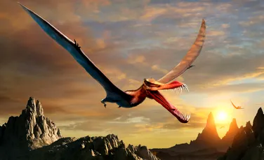 Un „dragon al morții” uriaș, cu o anvergură a aripilor de 9 metri, dezgropat în Argentina
