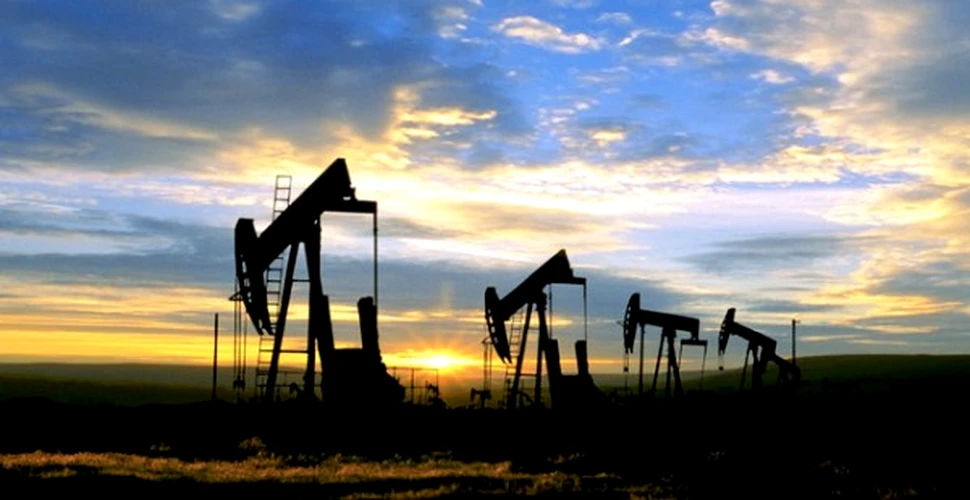 Criza petrolului, sub lupa tarilor industrializate