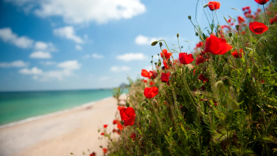 Vremea o ia razna, anunță meteorologii! Unde va ninge de 1 Mai?