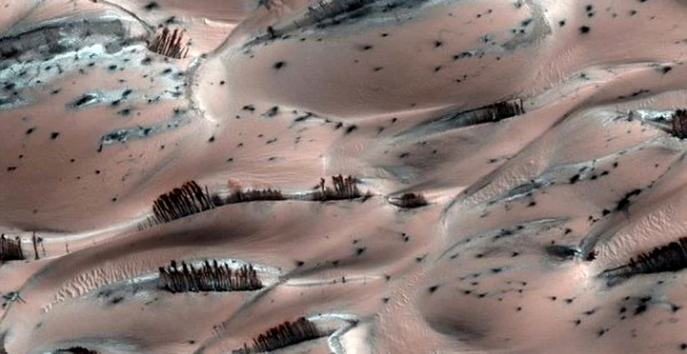 Ce sunt misteriosii arbori de pe Marte? (FOTO)