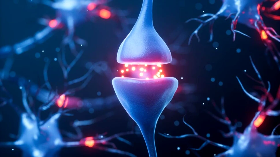 20 de lucruri uimitoare despre creierul uman