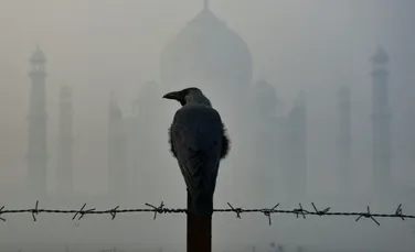 Taj Mahal nu se mai vede din cauza poluării extreme