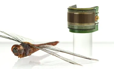 A fost creat primul ochi artificial inspirat de structura organului vizual al muştei drosofile (VIDEO)