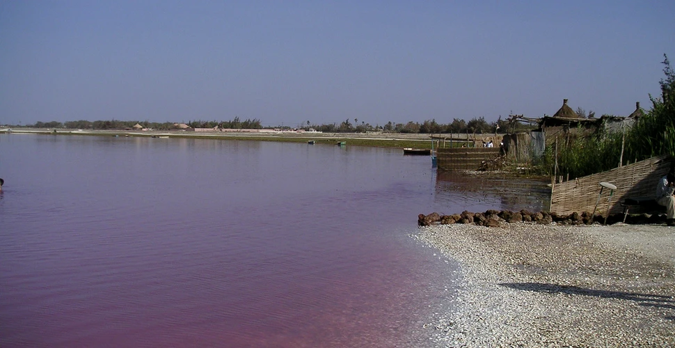 Unde se află cel mai mare lac roz din lume. Un VIDEO spectaculos şi topul celor mai frumoase 10 lacuri din lume