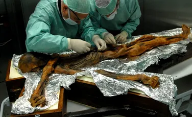 Ötzi, omul din gheață: ce au descoperit cercetătorii în corpul unei mumii vechi de 5.300 de ani