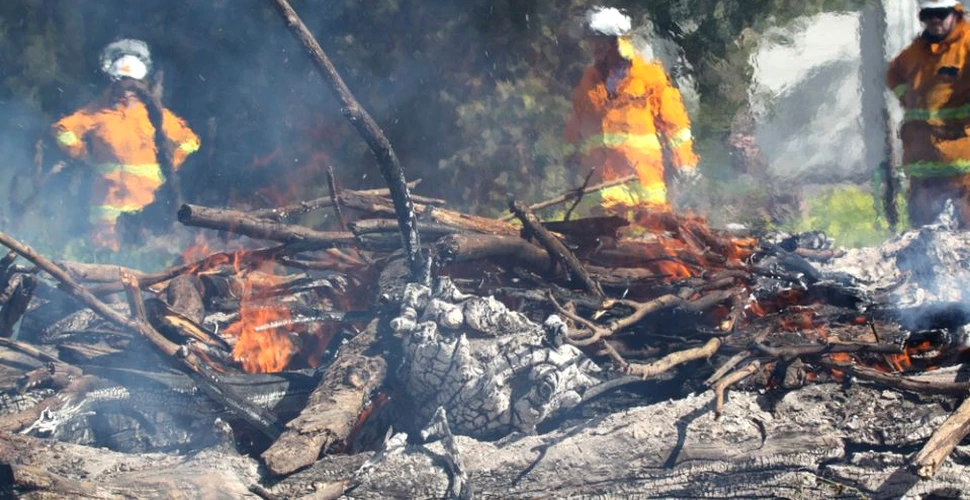 Temperaturile din Australia au o creştere mai mare decât cele la nivel global