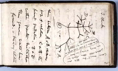 Caietele lui Charles Darwin, furate din Biblioteca Universității Cambridge, au fost în sfârșit returnate