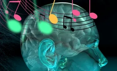 Muzica poate fi creată din impulsuri nervoase