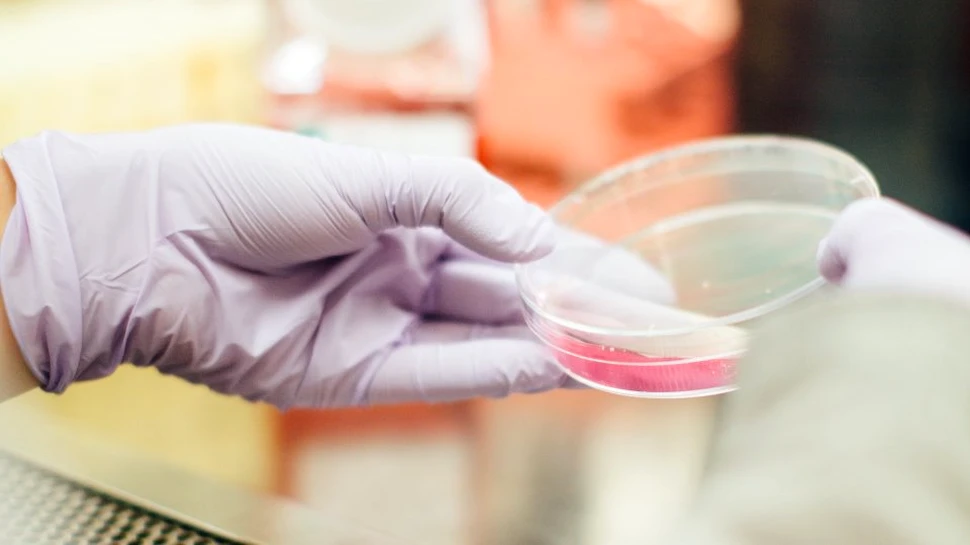 Anumite boli letale sunt cu un pas mai aproape de remediu datorită unei inovaţii medicale esenţiale