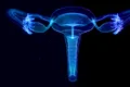 Ceva incredibil se întâmplă cu ovarele după menopauză