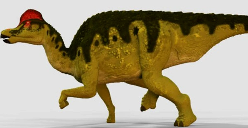 Dinozaurii ierbivori cresteau mai repede decat pradatorii lor