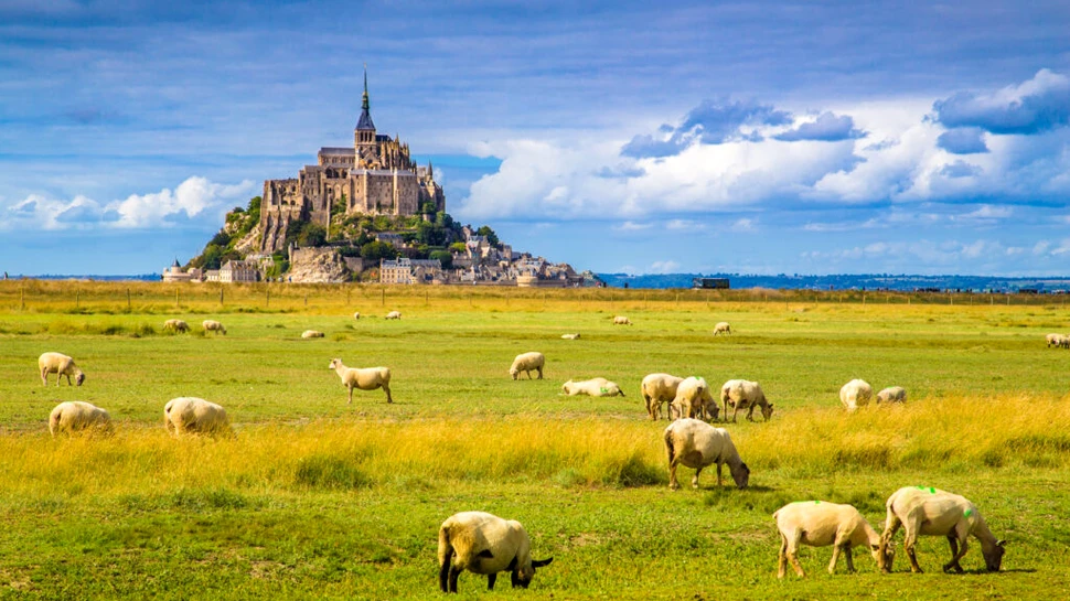 Oamenii de știință au creat un arbore genealogic neolitic din ADN vechi de 7.000 de ani