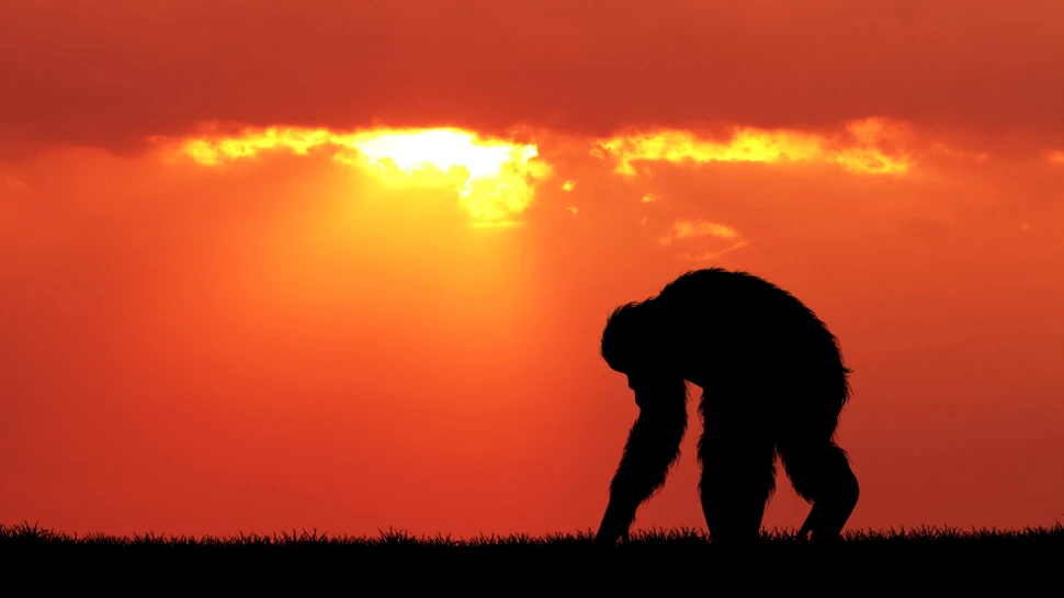 6 mari dezavantaje ale evoluţiei umane