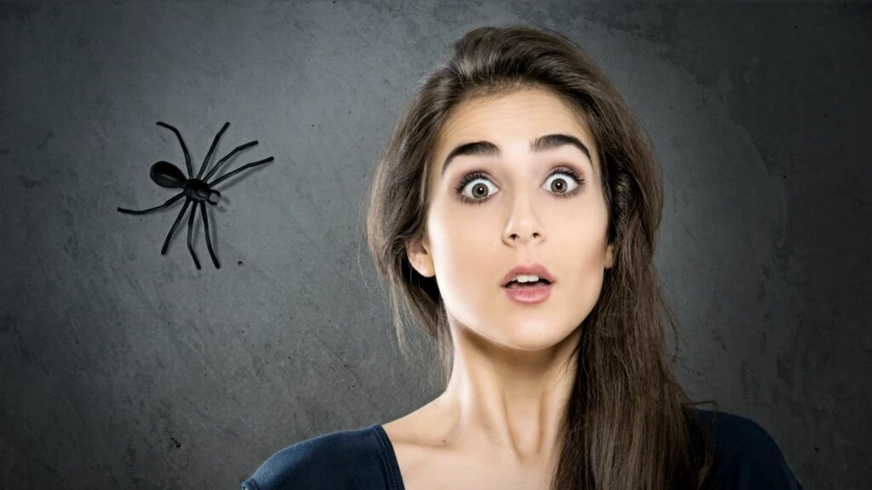 Ce au descoperit cercetătorii după ce au studiat în detaliu circuitele fricii din creier?