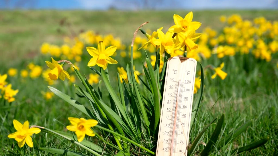 Ce temperaturi aduce luna aprilie în România? Estimările meteorologilor