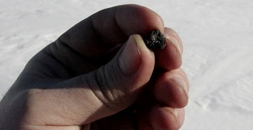 Primele fragmente din meteoritul care a căzut în Rusia oferă indicii despre roca spaţială (FOTO)