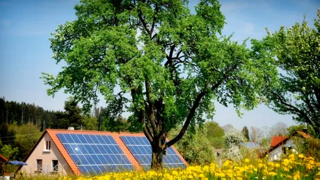 Inginerii au creat lemnul care oferă energie solară chiar și noaptea