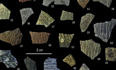 Cele mai vechi modele geometrice create de om, descoperite pe coji de ouă vechi de 60.000 de ani