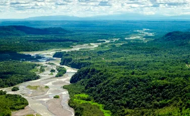 Restabilirea suprafeţelor împădurite, soluţia de atenuare a schimbărilor climatice