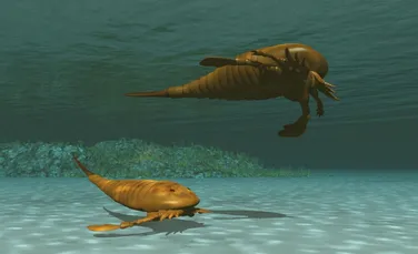 Acum 400 de milioane de ani, un scorpion gigantic domina mările